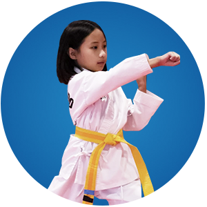 ATA Martial Arts Sustaire's ATA Karate for Kids